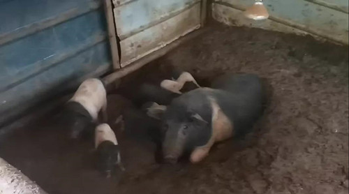 1645020395441073.jpg 2_副本.jpg