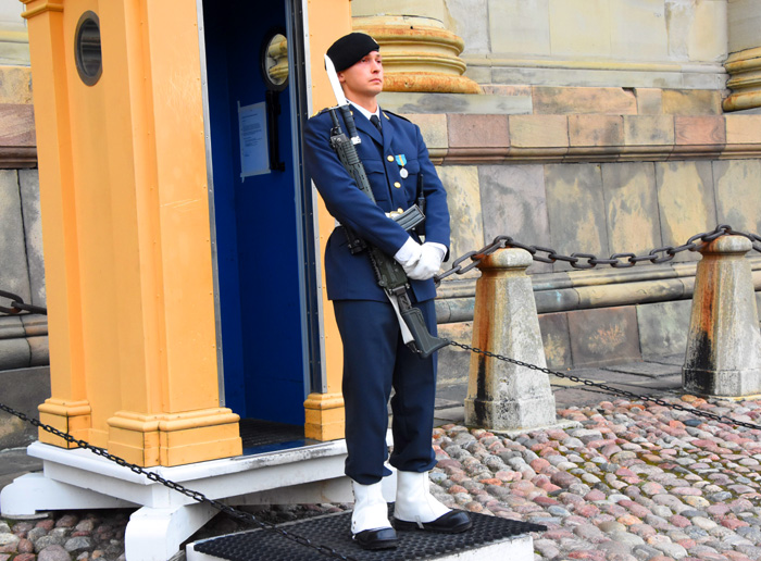 016王宫卫兵（摄影：冯赣勇）.jpg