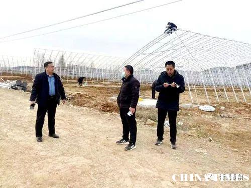 山东平邑：产业扶贫擦亮乡村振兴底色