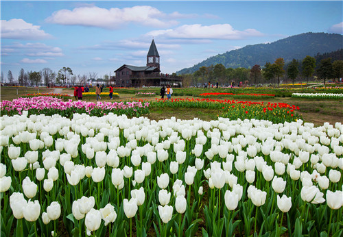 2021-06-29 14_20_322.jpg