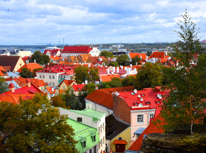 027俯瞰塔林老城风貌（摄影：.jpg