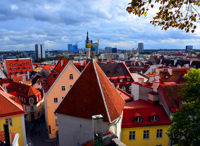 029俯瞰塔林老城风貌2（摄影.jpg