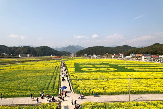 DJI_0939.JPG