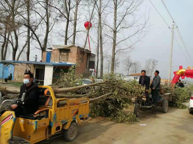 微信图片_20220315083455.jpg