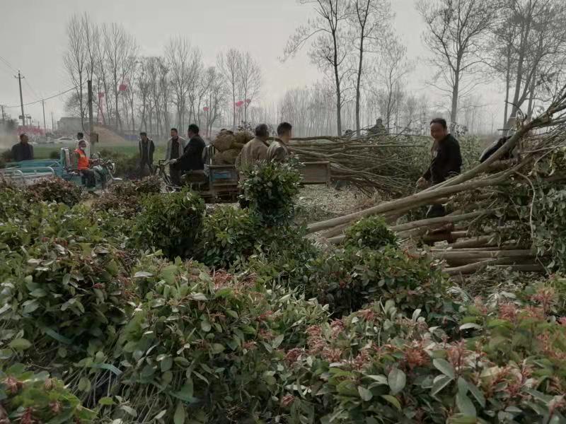 微信图片_20220315083501.jpg