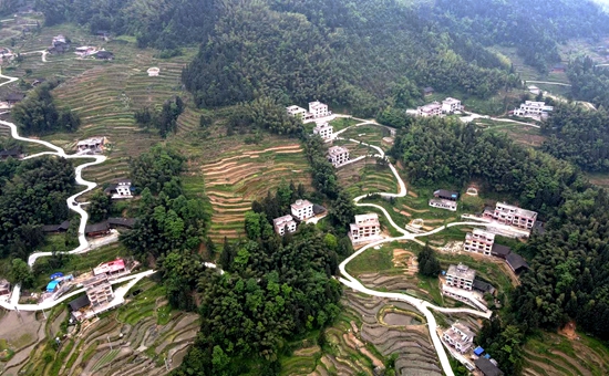 mmexport1646573886288 - 副本.jpg