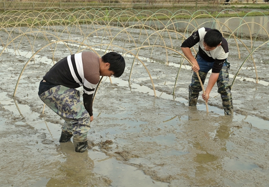 DSC_3243 - 副本.JPG