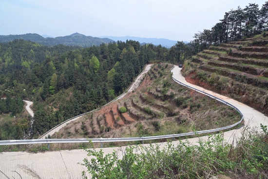 DSC_3708 - 副本.JPG