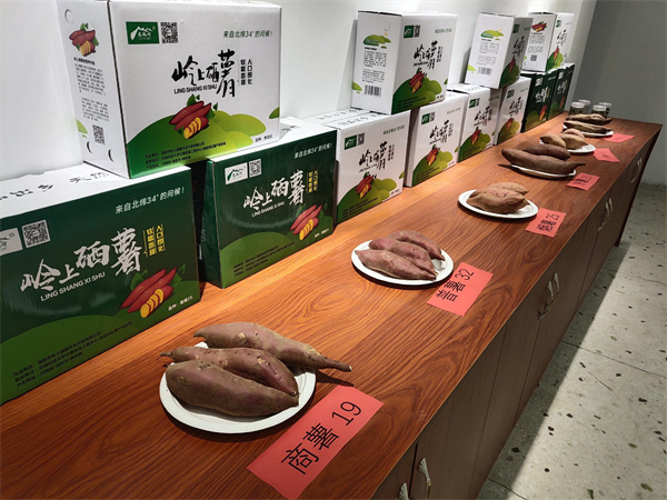 1649586924966678.jpg 25e18f491df8252093a275b0fe74aff.jpg