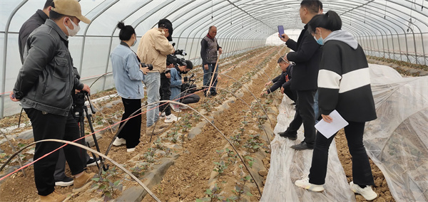 1649586930219348.jpg 041aacd09a2f63a602b0d8a06ae2a26.jpg