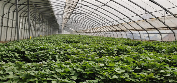 1649586939435156.jpg 72502fbab6e86fc16110223796ef8c3.jpg