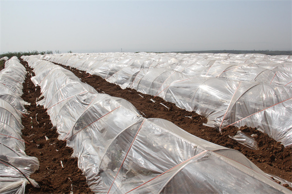 1649586950846447.jpg d0ed5d36d846350ea8035b66175fd17.jpg