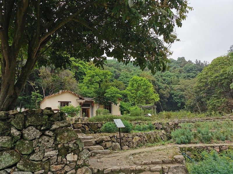 1651053335760394.jpg 1651053335760394.jpg