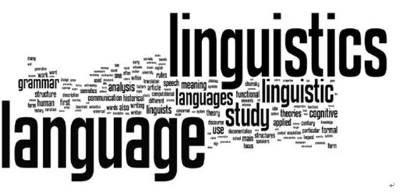 1651729452(1).png