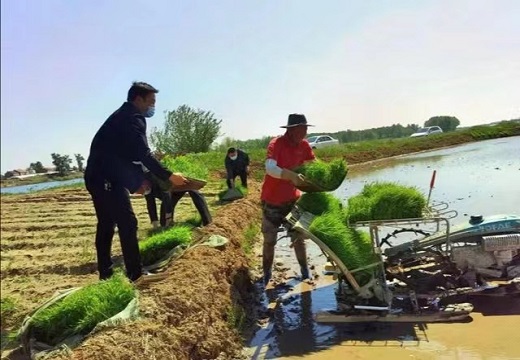 微信图片_20220522071655.jpg