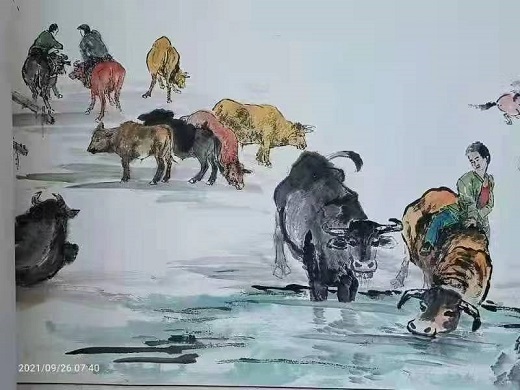 微信图片_20220525192239.jpg