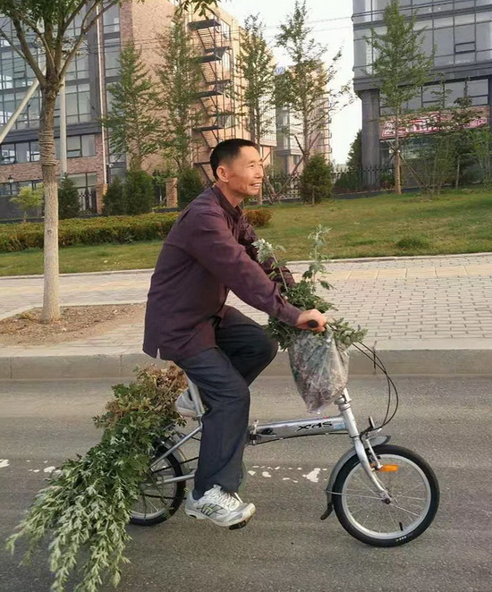 骑车.jpg
