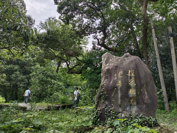英溪村口_副本.jpg