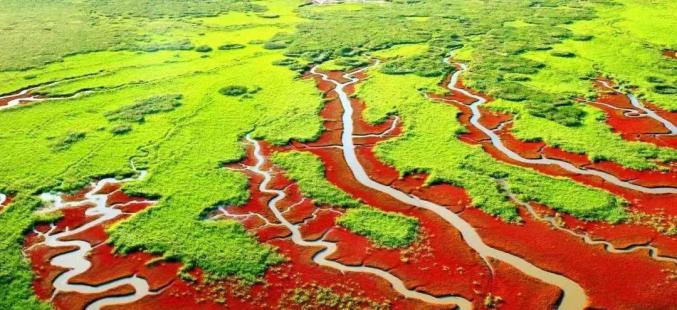 1656130698582948.jpg 22.jpg