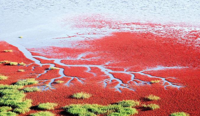 1656130731421464.jpg 57.jpg