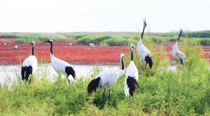 1656130742912175.jpg 36.jpg