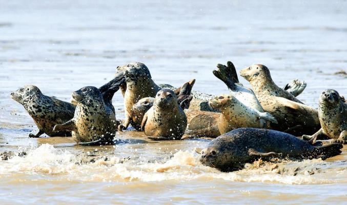 1656130755822790.jpg 45.jpg