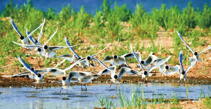 1656130775100311.jpg 50.jpg