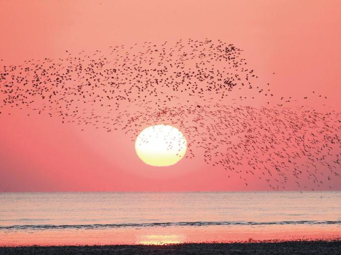 1656130794452669.jpg 69.jpg