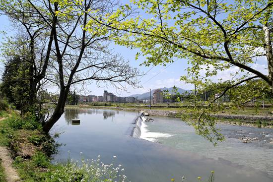 DSC_4214 - 副本.JPG