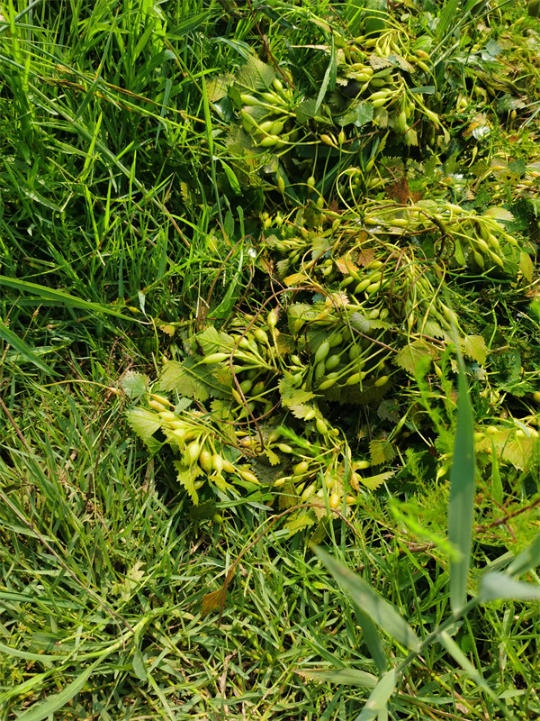 1656637665557034.jpg 微信图片_20220701090543.jpg