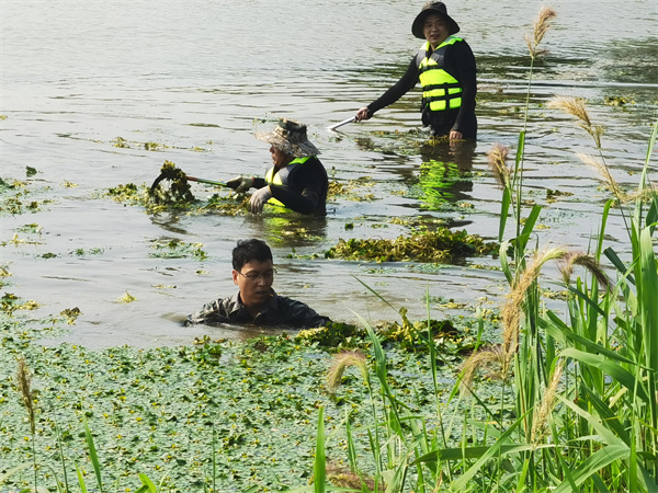 1656637680247243.jpg 微信图片_20220701090546.jpg