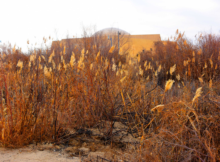 1657693711943910.jpg 08达玛沟佛教文化遗址周边景.jpg