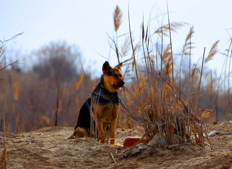 1657693760849872.jpg 011达玛沟佛教文化遗址周边景.jpg