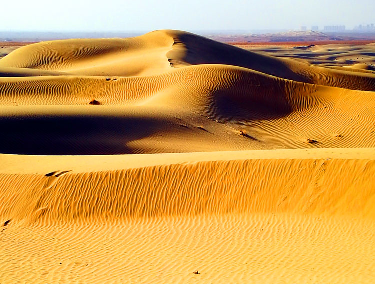 1657694255636741.jpg 034大芸沙海景色.jpg