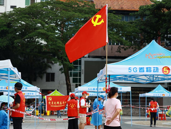 抗疫情15-张成浪摄。抗疫党旗红（小图）.jpg