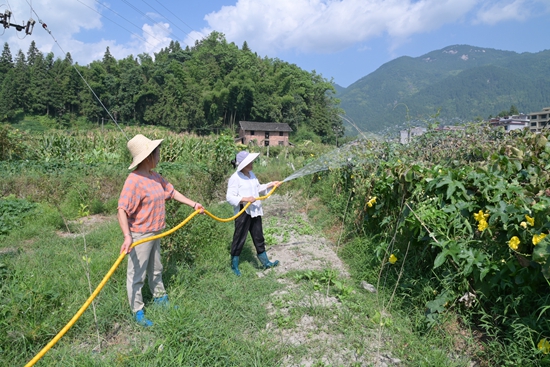 DSC_8938 - 副本.JPG
