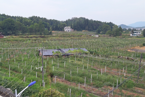 DSC_1660 - 副本.JPG