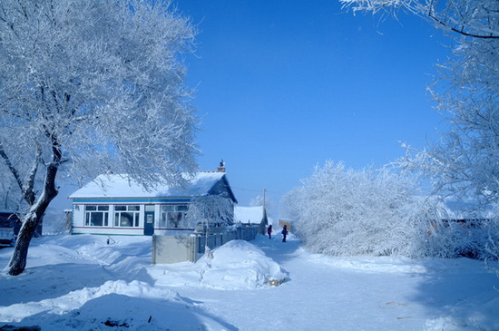 冬雪.jpg