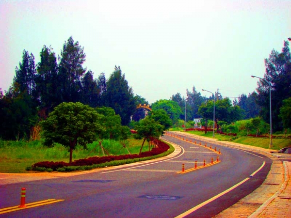 04宁静的街道（摄影：冯赣勇）.jpg