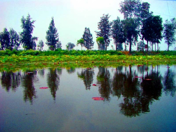 16双鲤湖湿地（摄影：冯赣勇）.jpg