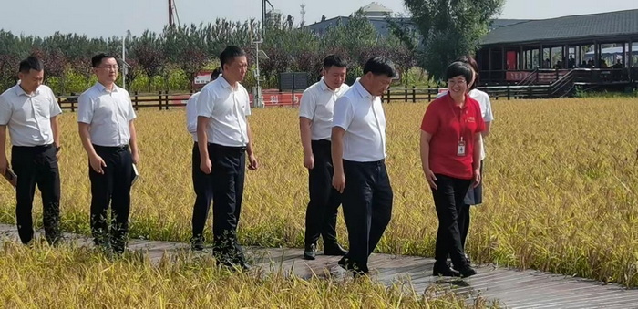 图片6.jpg
