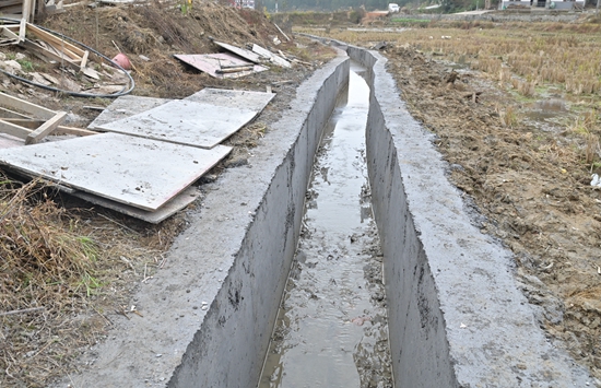 DSC_8501 - 副本.JPG