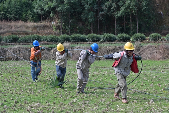 DSC_8789 - 副本.JPG