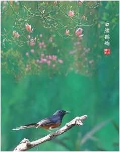 微信图片_20221222145434.jpg