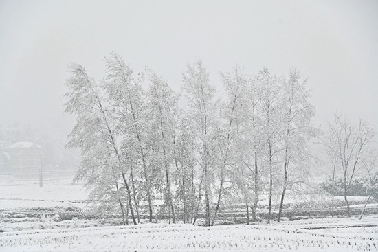DSC_9198 - 副本.JPG