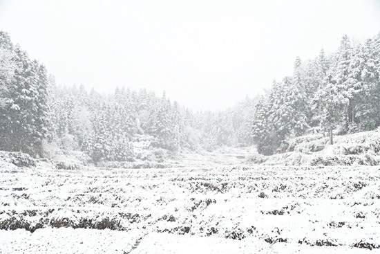 DSC_9195 - 副本.JPG
